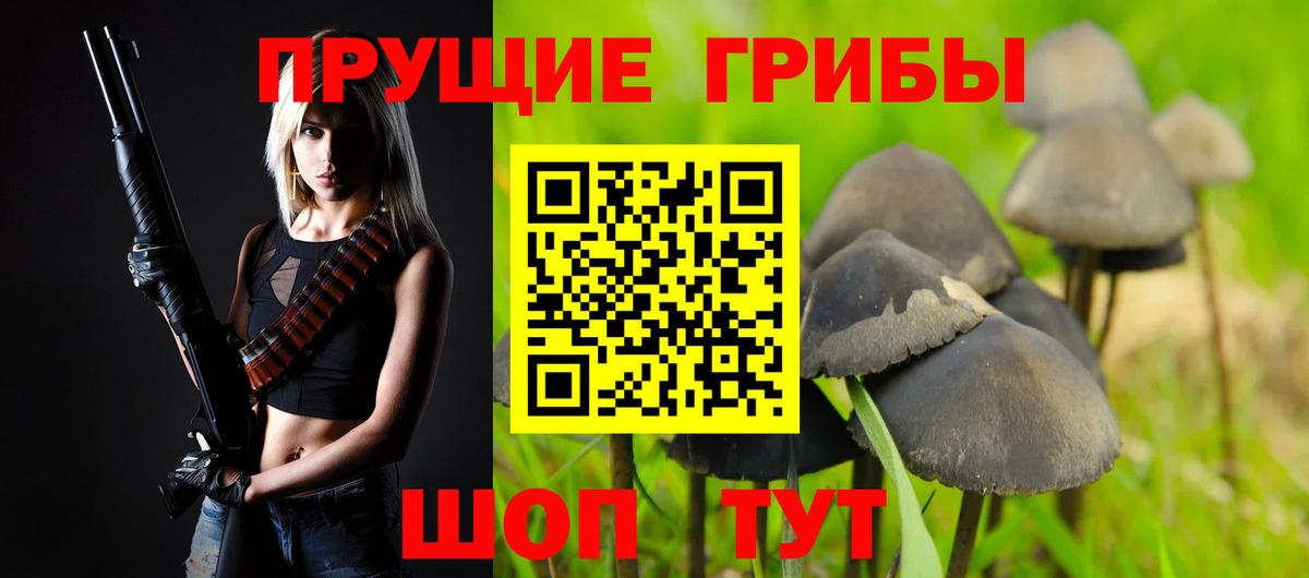 Псилоцибиновые грибы Magic Shrooms Клинцы